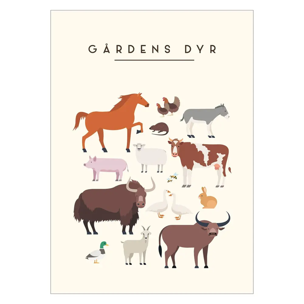 Plakat   Ga%cc%8ardens Dyr A3 fra Poster & Frame
