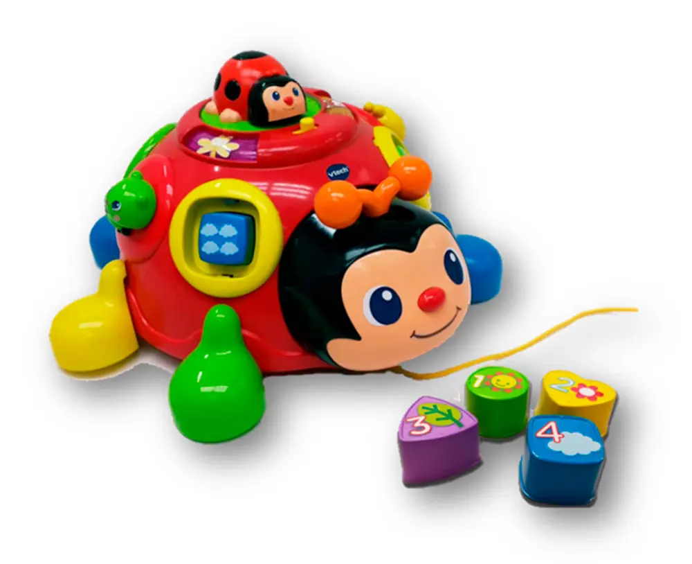 Læreinsekt Med Skøre Ben fra Vtech