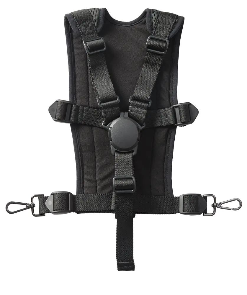 Air Barnevognssele fra Odder