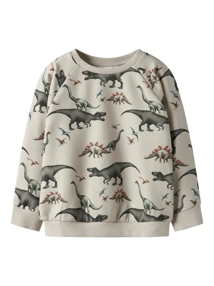 Bertil Sweatshirt Pumice Stone 116 fra Name It