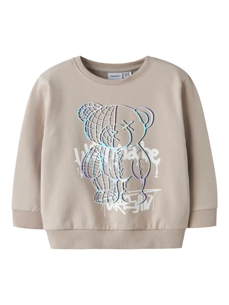 Donvu Sweatshirt Chateau Gray 104 fra Name It