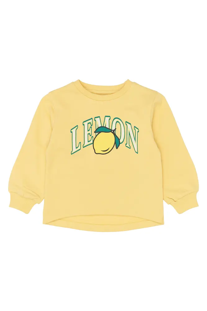 Shelby Sweatshirt   Dusky Citron   98 fra The New Siblings
