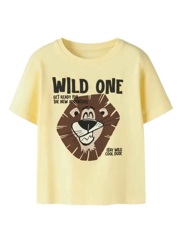 Harly T Shirt Double Cream 110 fra Name It