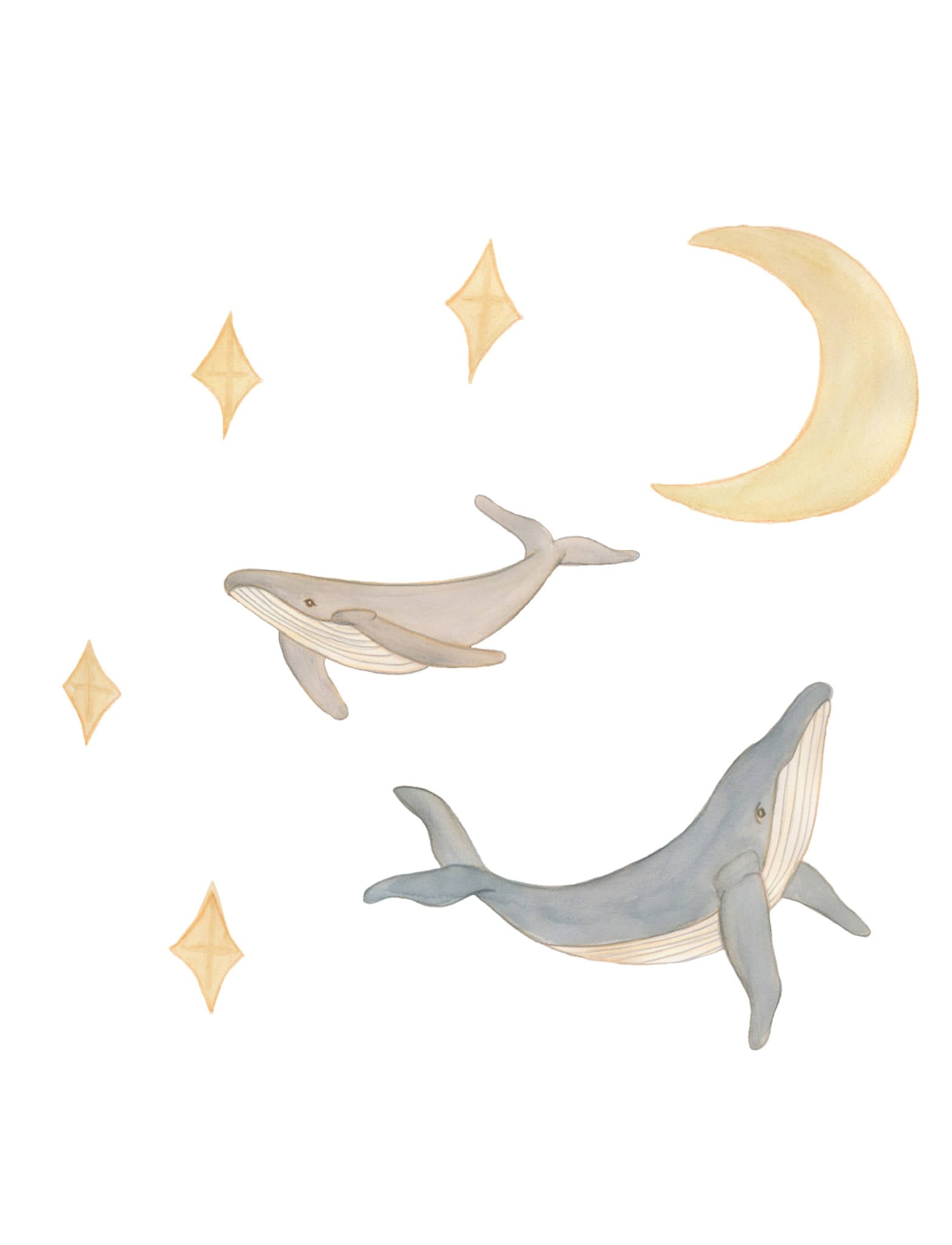 That's Mine   Wallsticker Hvaler Og Himmel   Multi fra That's Mine