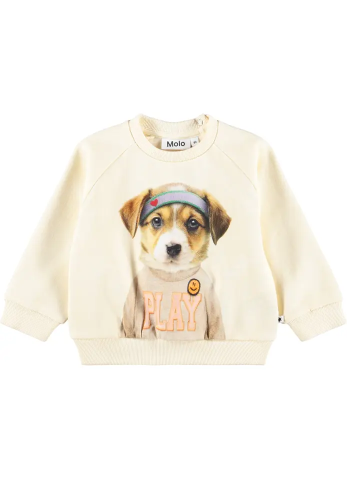 Disc Sweatshirt   Game Pup   92 fra Molo