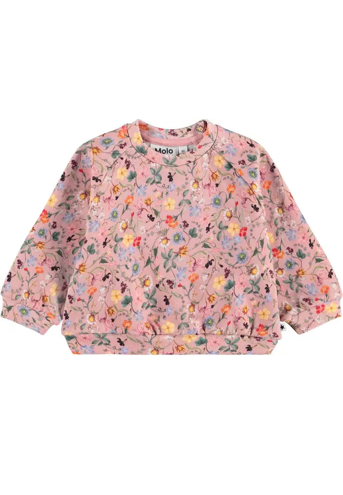 Disc Sweatshirt   Delicate Mini   62 fra Molo