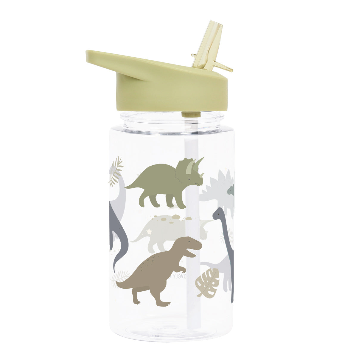 Drink Bottle   Dinosaurs fra A Little Lovely Company