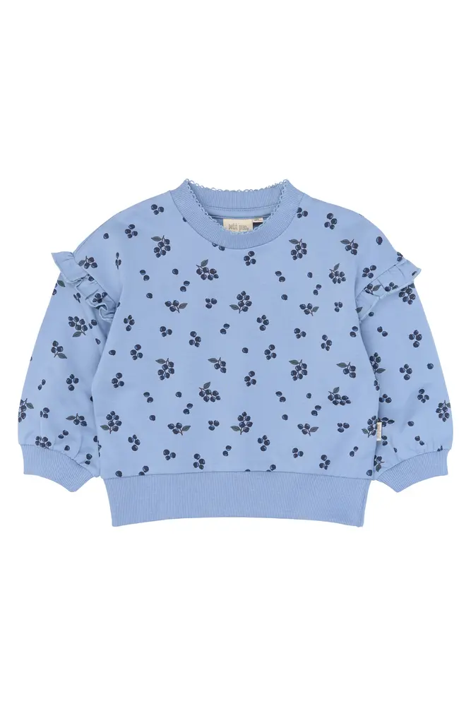 Gween Sweatshirt Stonewash Blueberry 98 Cm fra Petit Piao