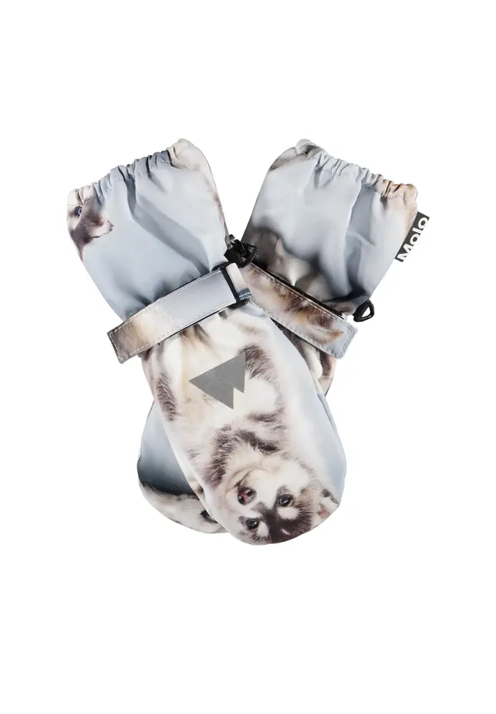 Igor Vanter   Husky Cubs   3 5 Year fra Molo