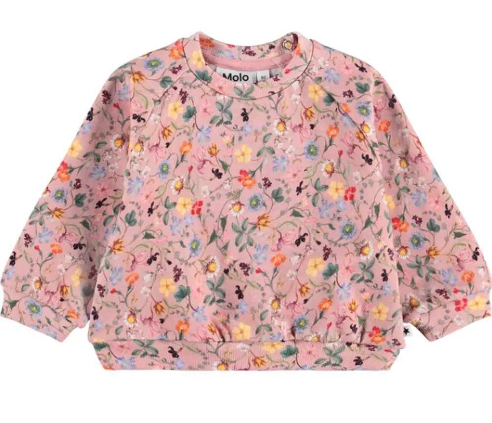Disc Sweatshirt   Delicate Mini   104 fra Molo