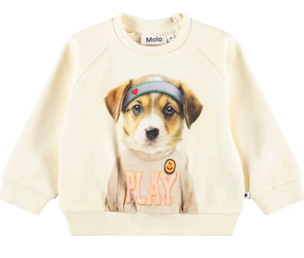 Disc Sweatshirt   Game Pup   56 fra Molo